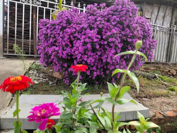 女兒的婚禮上,親孃攜養父落寞站後方,飆淚,遠遠觀望…… 女兒的婚禮上,親孃攜養父落寞站後方,飆淚,遠遠觀望……