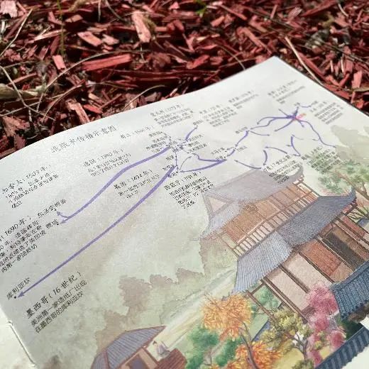 翻遍了市面上的歷史書,我決定給孩子入手這一套 翻遍了市面上的歷史書,我決定給孩子入手這一套