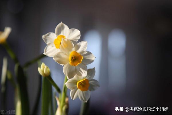 來時不懼風雨,去時何畏人言 來時不懼風雨,去時何畏人言