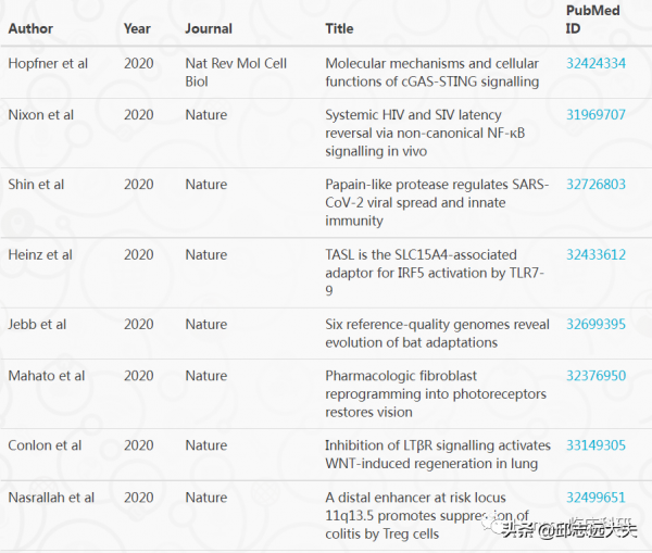 解析NF-κB訊號通路