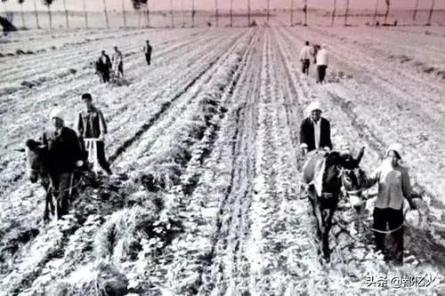 老照片裡的農村 老照片裡的農村