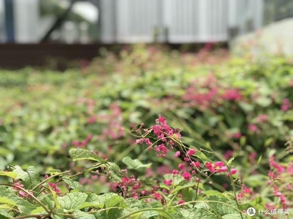 紀念一下普吉島最美海灘,奈涵,還有那奈涵最美酒店 紀念一下普吉島最美海灘,奈涵,還有那奈涵最美酒店