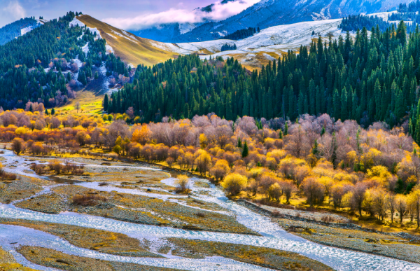 「詩詞鑑賞」十五首野望的詩詞，一起野望，開啟一場深秋的邂逅