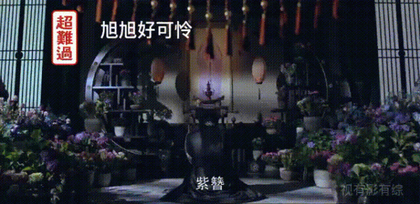 《斛珠夫人》:這是線上撒糖的節奏,帝旭,你真的是個痴心郎 《斛珠夫人》:這是線上撒糖的節奏,帝旭,你真的是個痴心郎