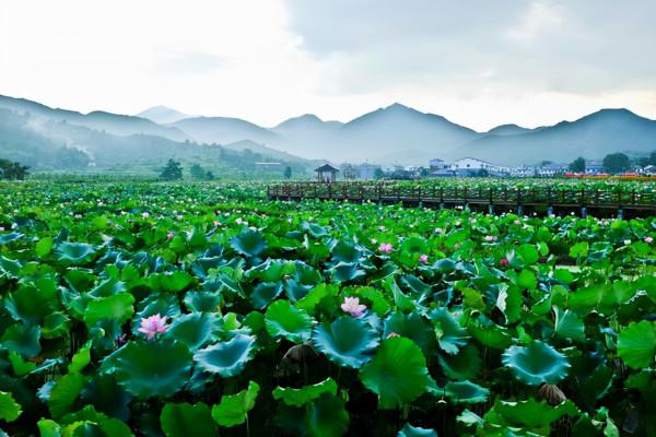 江西旅行該去哪?這裡四季都有不同的風景,石怪洞幽、泉美茶香 江西旅行該去哪?這裡四季都有不同的風景,石怪洞幽、泉美茶香