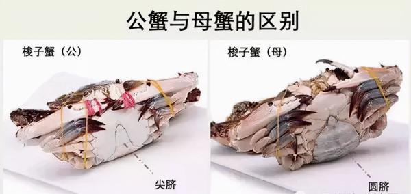 買海鮮究竟有哪些技巧，如何挑選新鮮的海鮮？如何區分優劣？