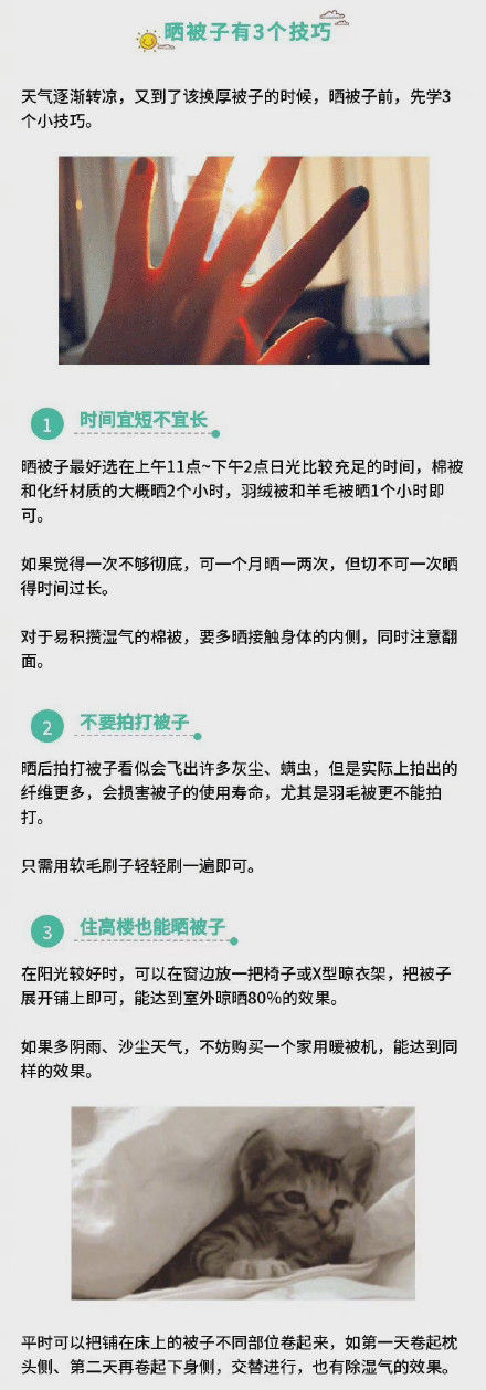 晾曬被子不要用力拍打 晾曬被子不要用力拍打