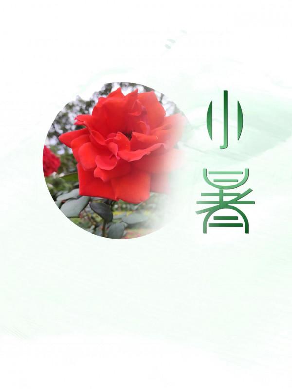 2021年的節氣圖分享