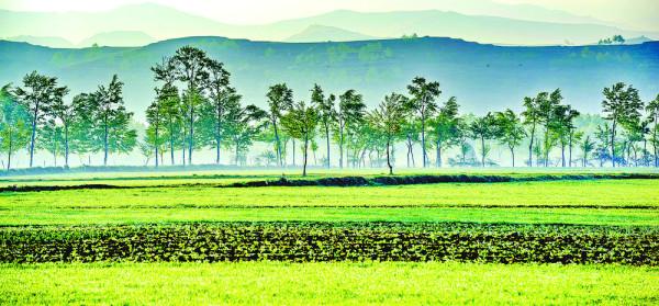 回 望 北 川（下）——黃河上游一條支流、一方谷地的自然人文走筆