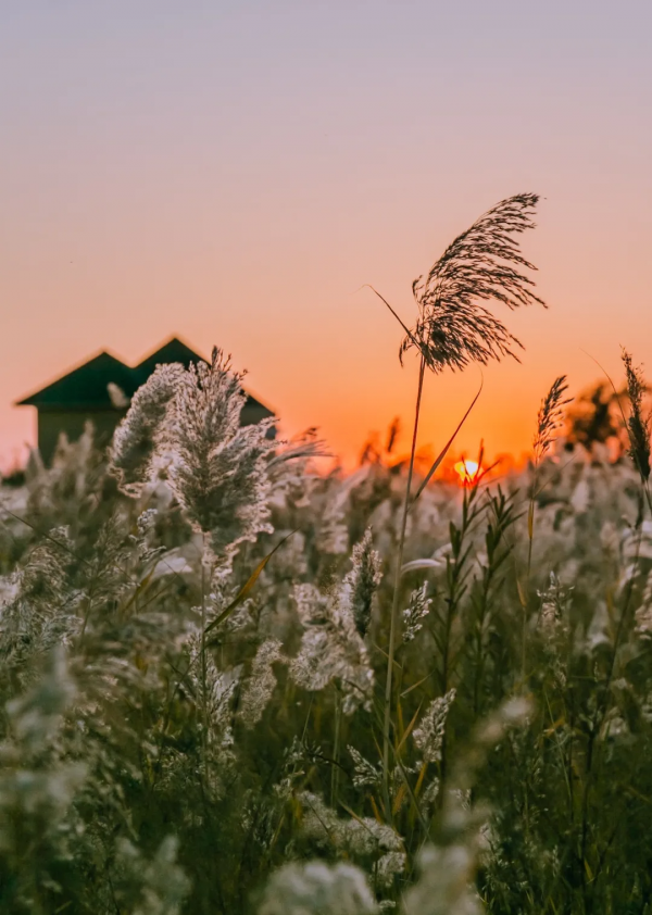第一站,黃河入海口! 第一站,黃河入海口!