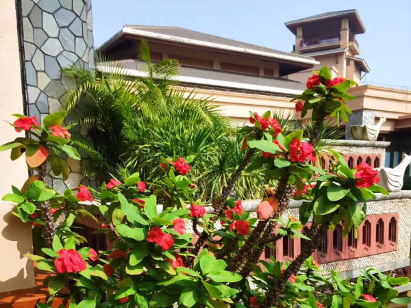 這樣的候鳥式旅居生活，你會喜歡嗎？