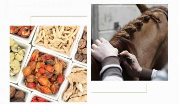 中秋｜溫詩賞月，突然心疼蘇軾，原來好詩都是頭髮換的