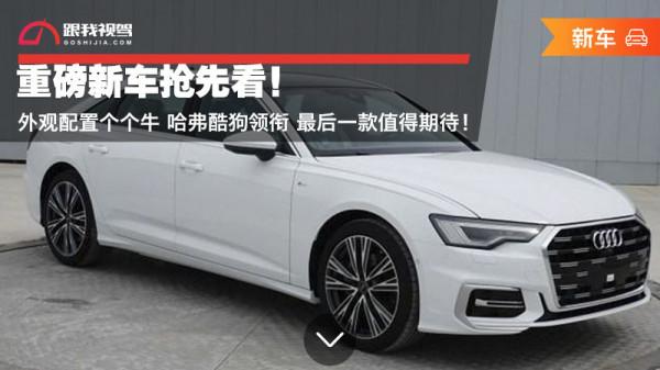 重磅新車搶先看！外觀配置個個牛 哈弗酷狗領銜 最後一款值得期待