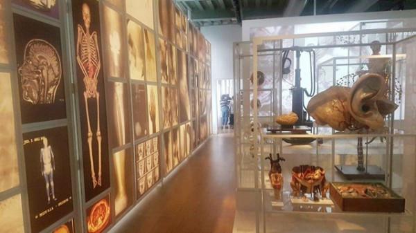 2009年，荷蘭證實美國送的&OpenCurlyDoubleQuote;月岩&rdquo;是假貨，美國：我沒說那是月岩