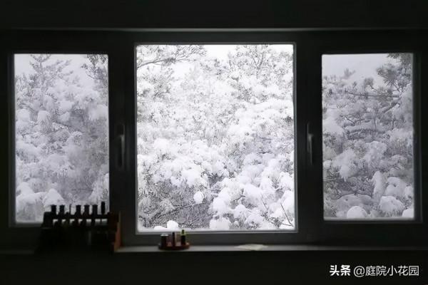 他賣掉城裡的房子，包了個山頭，打造集裝箱陽光房、小木屋、花園