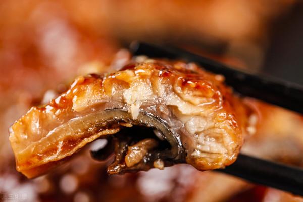 海釣鰻魚選擇夜釣是關鍵「 日本專業海釣入門防波堤釣書籍 」