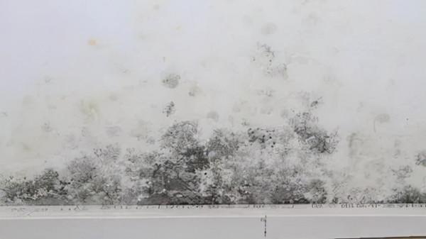 漏水的問題怎麼解決？教你如何做到“萬無一溼”