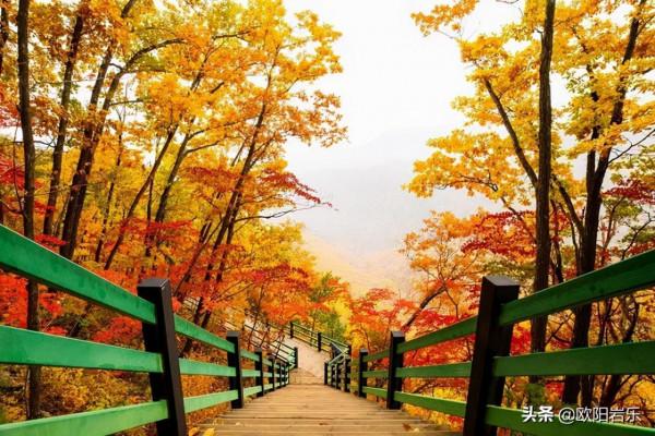 美到勾魂!10月的中國,這9個地方秋光乍洩,你應該在場啊 美到勾魂!10月的中國,這9個地方秋光乍洩,你應該在場啊