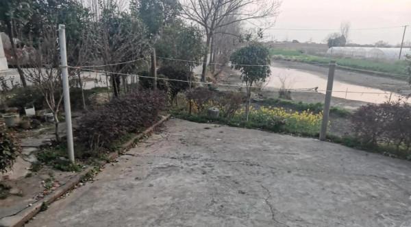 冬至，小夥子沒回去上墳，老家村裡很蕭條，都是70歲以上老人