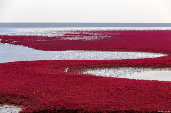 全國首批47個國家級文明旅遊示範單位名單，建議收藏