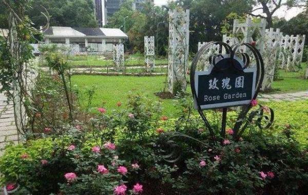 民國劇怎麼就越來越失真？