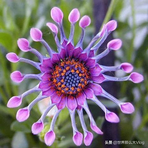 行者無疆，我們一直在路上