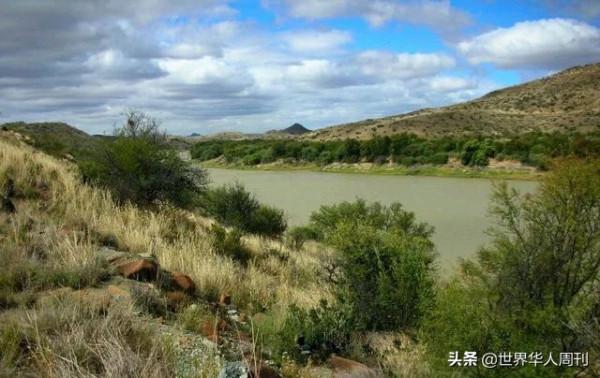 18年前，送到南非放養的2只華南虎，如今怎樣了？