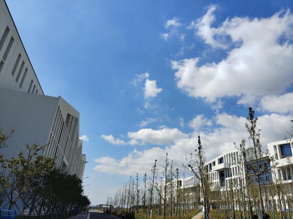 教師或將迎來新變動,這四類教師即將被清出教師隊伍,終身禁教 教師或將迎來新變動,這四類教師即將被清出教師隊伍,終身禁教