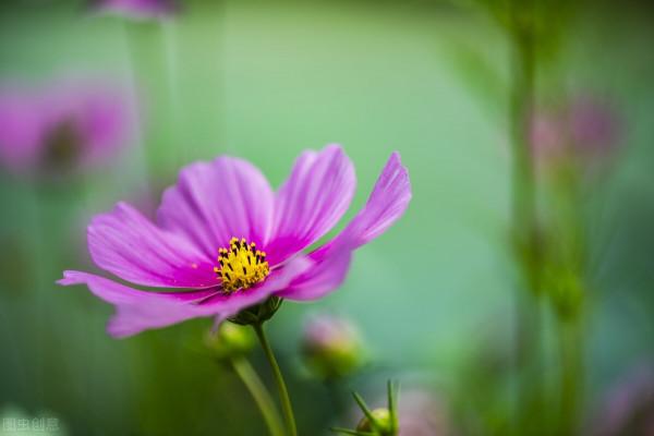 高情商的人是怎麼拒絕別人的，五種策略，讓你的拒絕不傷人