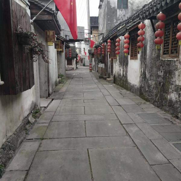 中國淡水魚都――菱湖