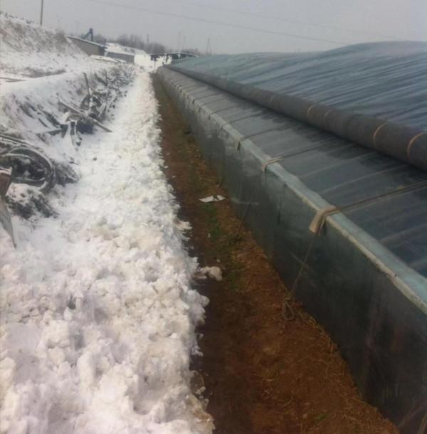 “雷打雪花飄，殺人不用刀”！下雪打雷真的不好？