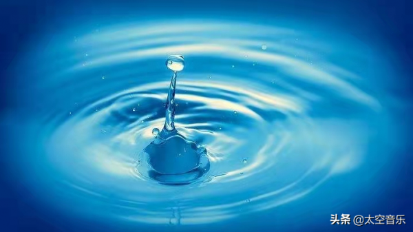 奇聞奇事：萬物皆有靈，來自動物的報恩更感人，看完值得深思