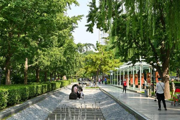 阜城門橋東還有這麼好的小公園，不錯不錯