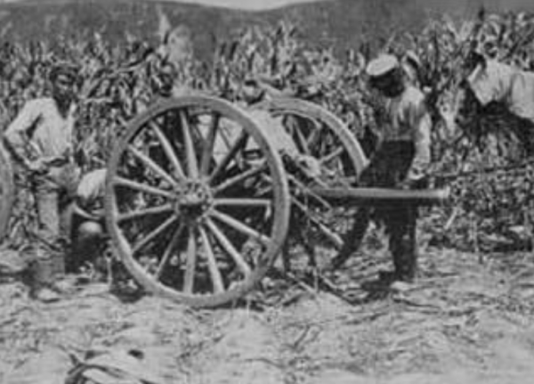 日俄戰爭有多慘烈？數萬日軍全部陣亡，還原真實戰場