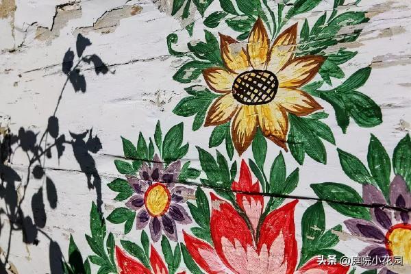 她們把鮮花種在牆上，一不小心這個村莊就美成了童話