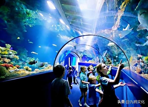 這個停車場的管理員，20年掙了870萬美元