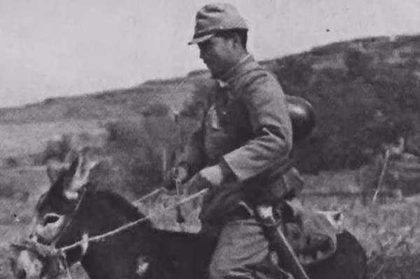 血戰黑瞎子溝:不費一炮一彈,消滅日軍討伐隊,這群黑熊是大功臣 血戰黑瞎子溝:不費一炮一彈,消滅日軍討伐隊,這群黑熊是大功臣