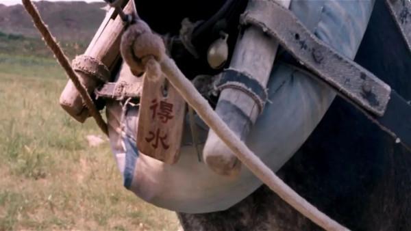 博物志 | 我命由我不由天——在沙漠挖洞的野驢