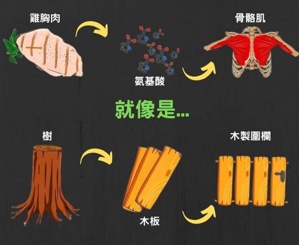 健身最常見的知識點,不知道別說自己會健身 健身最常見的知識點,不知道別說自己會健身