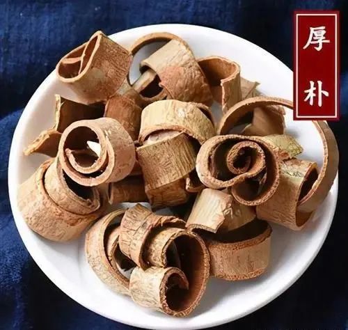 國醫大師路誌正:祛除溼濁經驗二十三則 國醫大師路誌正:祛除溼濁經驗二十三則