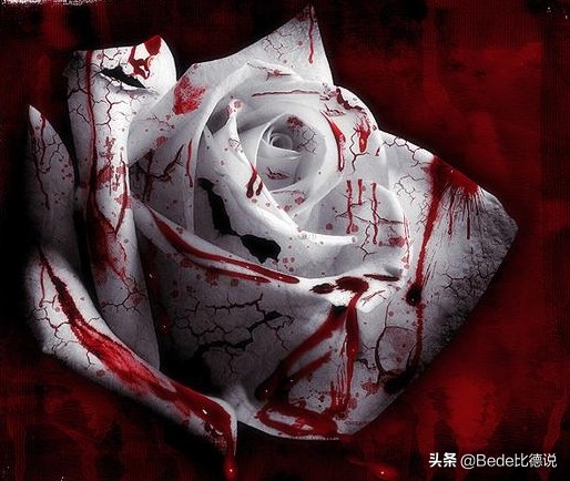 揭秘世界三大禁曲，殺人無數的《黑色星期天》，藏著什麼秘密？