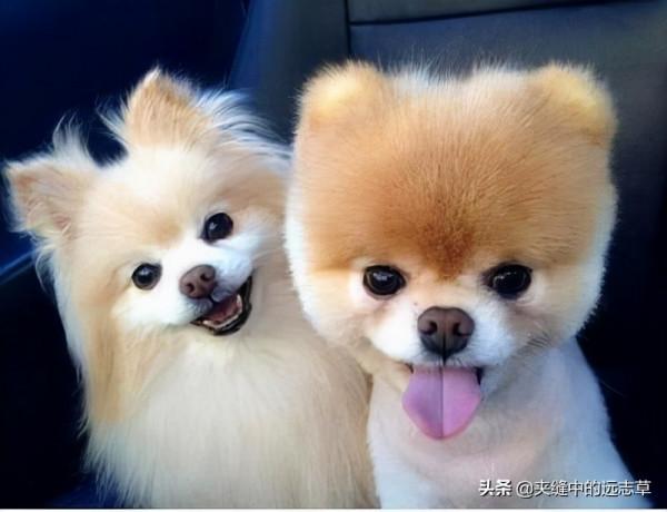 結節，增生，囊腫？送你一劑柴胡散結湯，疏肝理氣，化痰散結