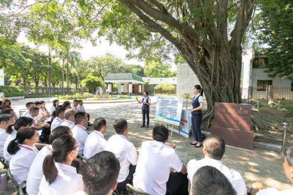 特別策劃 | 南方電網改革進化錄 特別策劃 | 南方電網改革進化錄