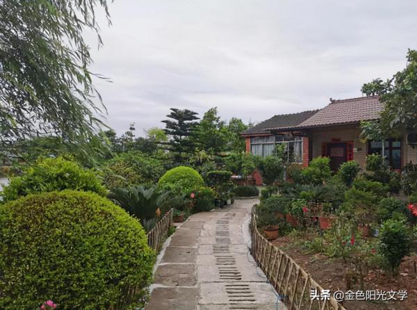 我愛爸爸媽媽、逛動物園、yī fu 變小了 我愛爸爸媽媽、逛動物園、yī fu 變小了