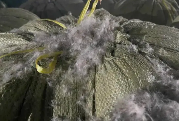 一年賣出300億元，這個專賣羽絨服的市場靠什麼吸引全球目光