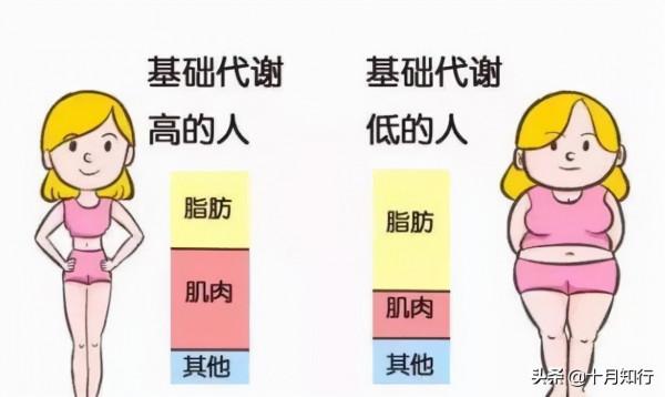 臀腿訓練有什麼好處，如何練？分享一組自重動作，讓臀腿協調發展