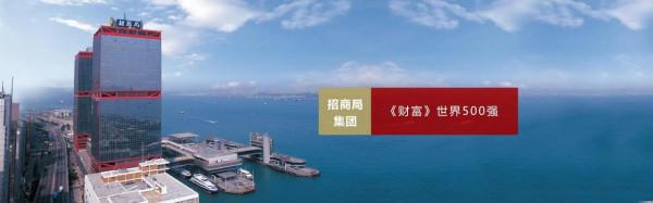 中國四大金融集團，有最大央企，有中國最大混合所有制企業