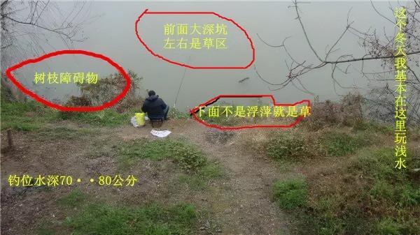 為何說野釣鯉一定要找坎，看完這幾點就明白了