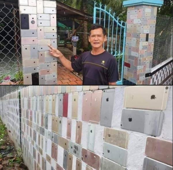 88個難得一見的照片，大象岩石，被章魚攻擊的海豚，飛行員眼鏡