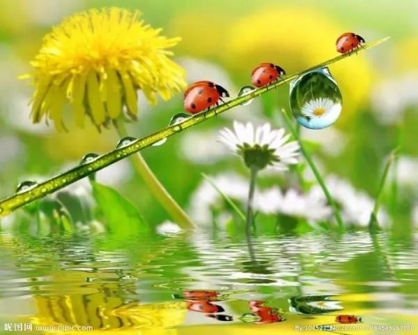 中秋隨筆:《秋傻子雨》 中秋隨筆:《秋傻子雨》